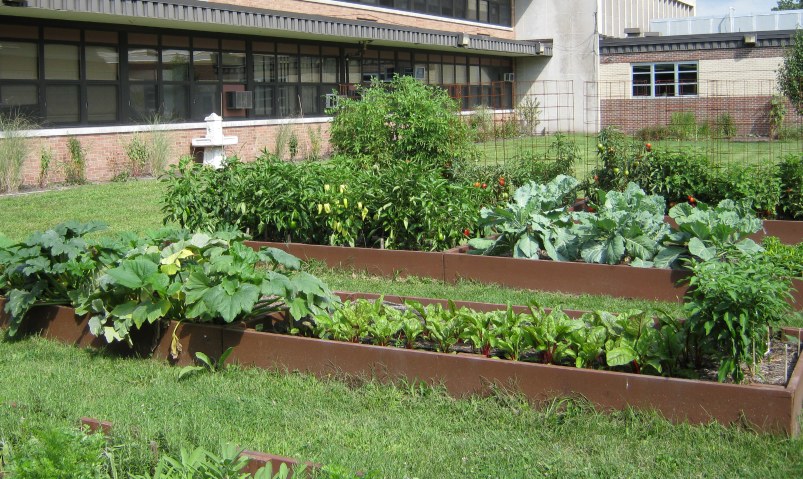 Healthy Living Garden